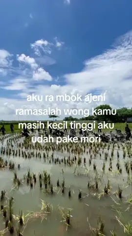 ndelok kamu doweran sambi minum kopi  #psht #pshtpusatmadiun #fyp 