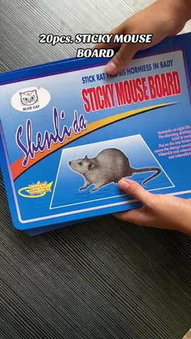 20pcs. Mouse Rat Sticky Glue Trap #mousegluetrap #gluetrap #fyp 