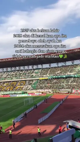 💚🐊 #persebaya #fypdong #persebayasurabaya #greennord27 #bonek 
