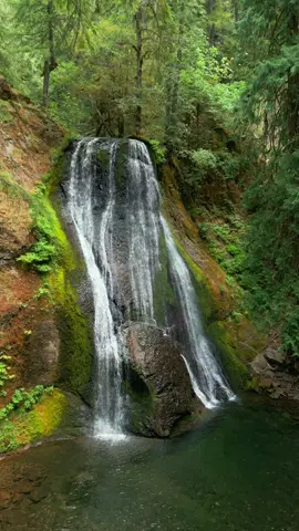 A majestic cascading waterfall hidden deep in the forest, where the delicate flow and lush surroundings create a scene of pure natural wonder 😍 #nature #Outdoors #cinematic #calm #waterfall 