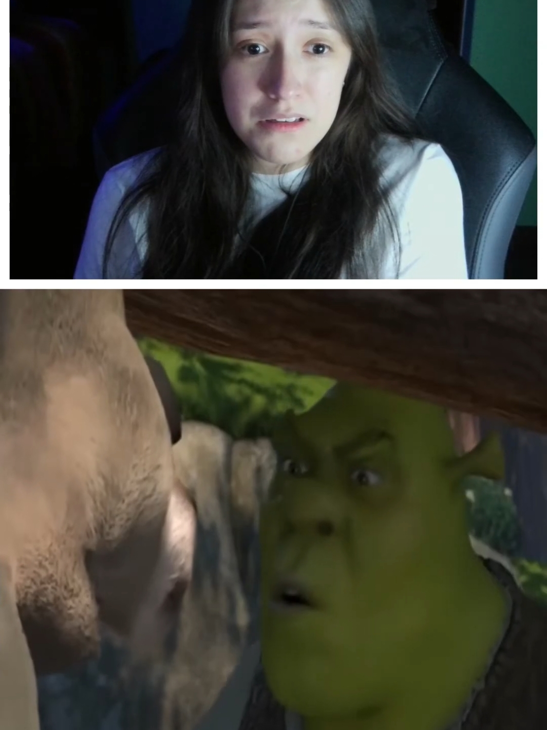 ¿Por qué estas seduciendome? 😂🤣 #clip #random #ytph #tiktok #fyp #humor #shrek #risa #infancia 