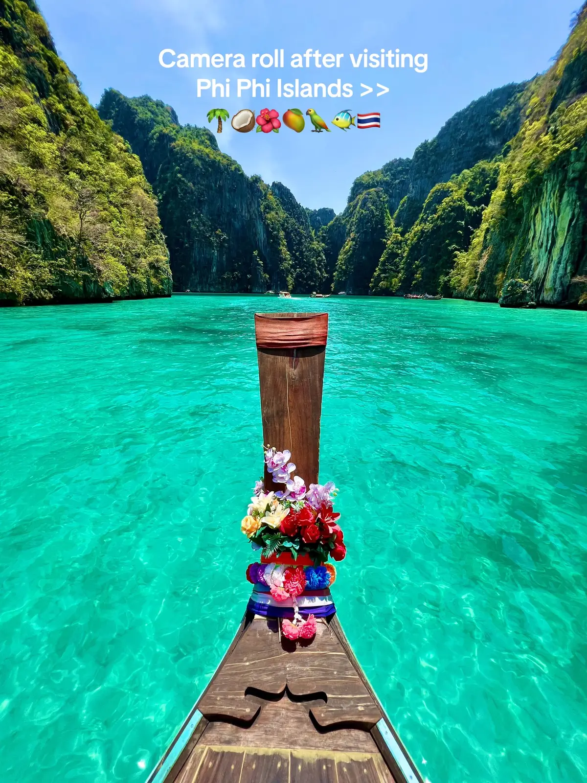 Phi Phi Islands is paradise on Earth🥥🌴🌺🥭🐠🦜🇹🇭 #travel #travelthailand #thailand #thailand🇹🇭 #thailandtravel #phiphiisland #phiphiislands #phiphi #kohphiphi #mayabay #beachaesthetic #islandlife #islandgirl #tropical #placestogo