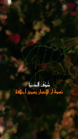 لـ احمد الوائلي💚🦋| قناة التلكرام بالبايو اشتركوا بيه❤️🥺. الطبيعة هي أفضل مصور وأروع مصدر للإلهام استمتع بلحظات ساحرة مع الأشجار التي تروي قصصًا من الجمال والهدوء من التفاصيل الرائعة إلى المناظر الخلابة🕊️ ، دع كل إطار ينطق بألوان الحياة. مع مقطع صوتي للشيخ احمد الوائلي #تصوير_طبيعي  #جمال_الأشجار  #استكشاف_الطبيعة  #الشيخ_احمد_الوائلي 