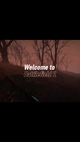 Welcome to battlefield 1  #foryou #fyp #pourtoi #battlefield #battlefield1 #bf1 #viral #edit 