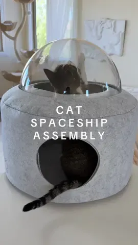 space girlllllll 😽🛸 find it right above!👆   #catbed #catspaceship #catasmr #catmusthaves #cathouse #catenrichmentideas #ShopIcons #aestheticcat #catmomlife #creatorsearchinsights #catfinds #tiktokshopcat #tiktokshoppet   My longterm foster cat, Winnifred, is definitely a cat who likes to hide! So, while I wasn’t totally sure if she would enjoy an enclosed pet bed, I wanted to give one a try! Assembling the space capsule cat bed by Michu was very easy, it came with 4 parts— top, bottom, clear bubble, and a little blanket for inside. She explored the the bed as soon as it was assembled! The interior bottom width is about 17 inches and the interior height is about 19 inches. The light gray material is soft like felt. Since it’s soft, the structure can look a bit wavy at first but with a little zhuzhing, looks just right! I’m very happy that we tried an enclosed pet bed— so she has a cozy, proper place to go when she hides! 🤍