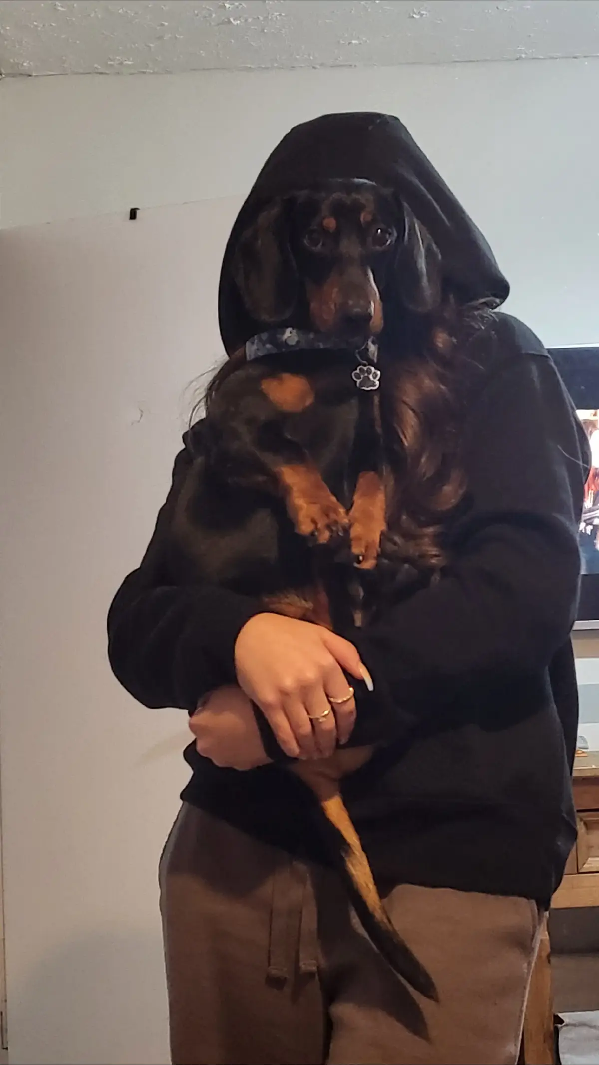 ❤️💕