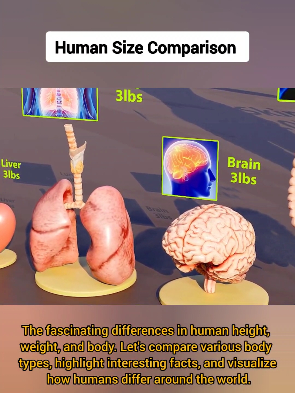 Informative video. #explore #Fyp #science #body 