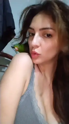 🦜🤍 Me haces mucha falta mi bebe, te extraño mucho #lorito #loritostiernos #ausenciasqueduelen #vivirsinti 