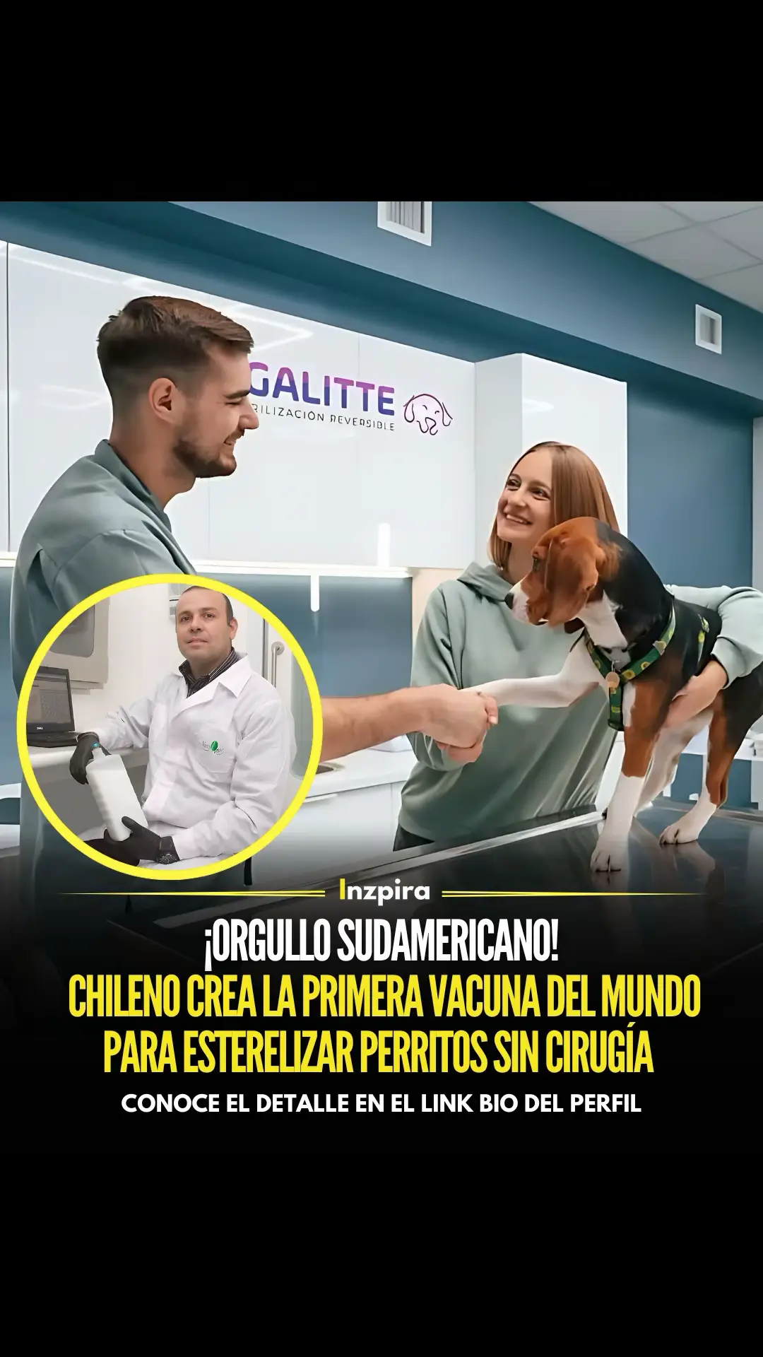 Un chileno ha desarrollado la primera vacuna para esterilizar perros de manera reversible y sin efectos secundarios. ✅ Conoce el detalle en el link bio del perfil. • • • #Esterilizacion #Perritos #Animales #Cientifico