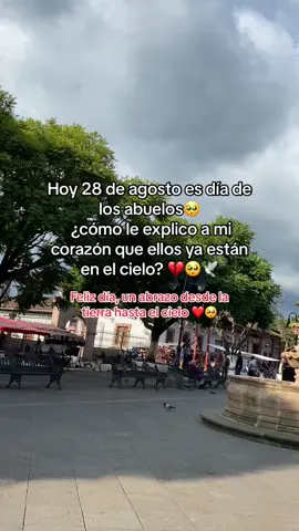 Un abrazo a mis abuelitos hasta el cielo 🥺❤️🕊️ #diadelosabuelos #🕊️🕊️🕊️ 