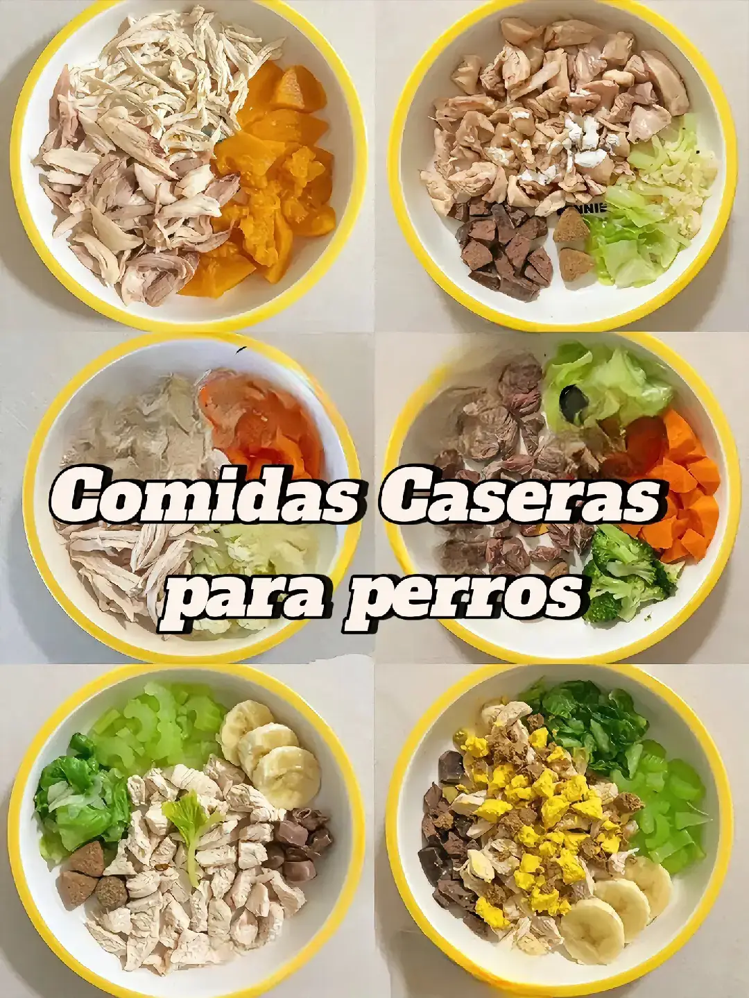 Comida casera para perros Una semana de recetas caseras de comida para perros para compartir con ustedes. La mayor parte de la carne + una pequeña porción de verduras/frutas + otros suplementos nutricionales. √ Otros complementos nutricionales: Fosfolípidos blandos #perros #mascotas #dietabarf #comidacaseraparaperros #nutricioncaninayfelina #cuidadocanino #comidanaturalperros 