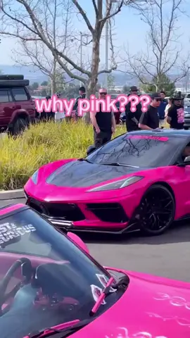 IFYKYK #PINKALICIOUS #pinkcarclub #pinkcarshow #pinkcarmeet #pinkcar #pinkcarfamily 