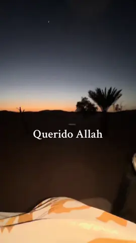 Querido Allah.. #allahummashollialasayyidinamuhammad #allahuallah #allah #viral #islam #allhamdulilah #allahuakbar #motivacion #dua #hijabi #islamenespañol 
