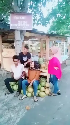 cek pon