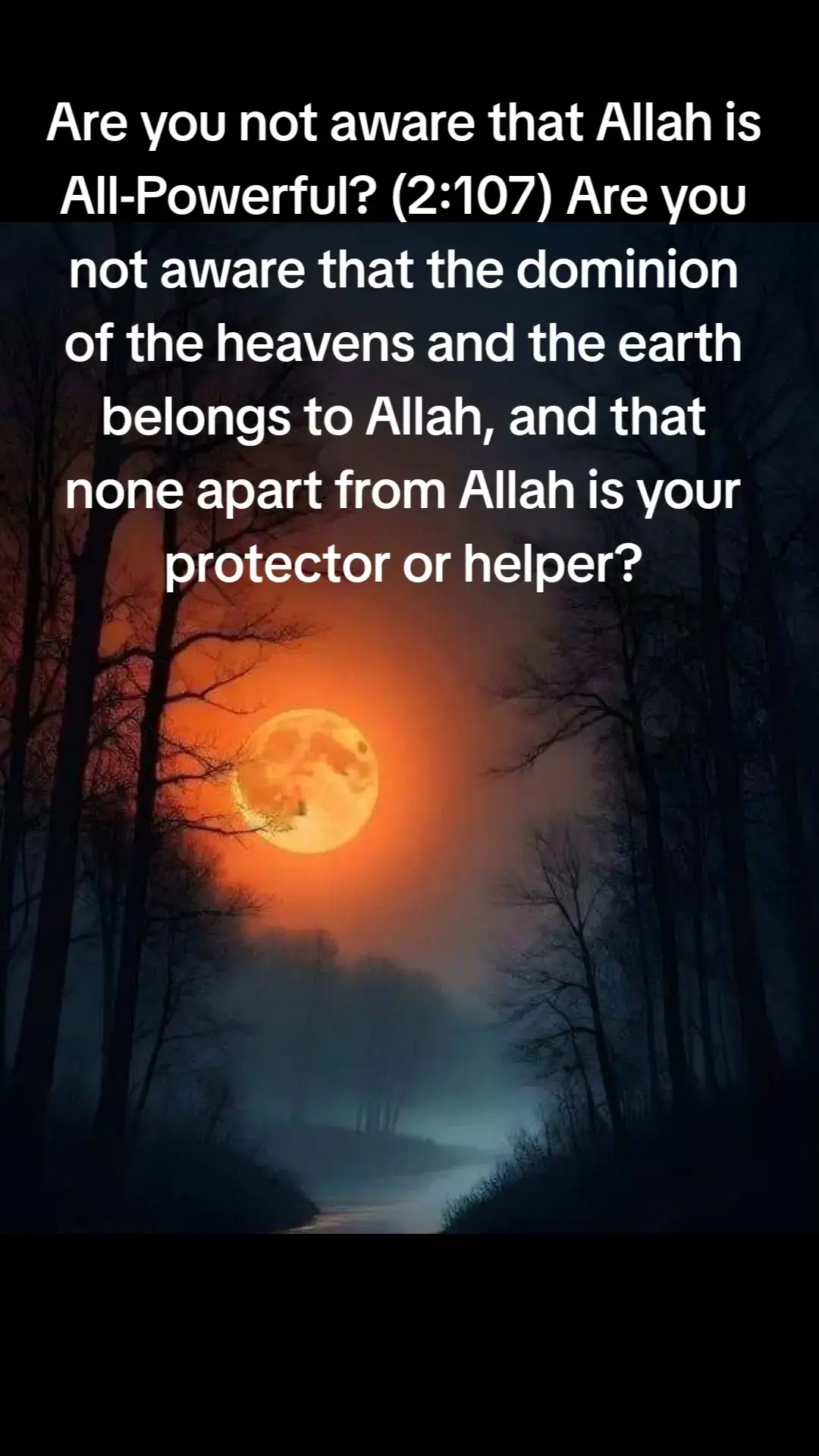 #allahuakbar #hadeesshareef #subhanallah #allhamdolillah #allah❤️ #quran #islam #daroodshareef 