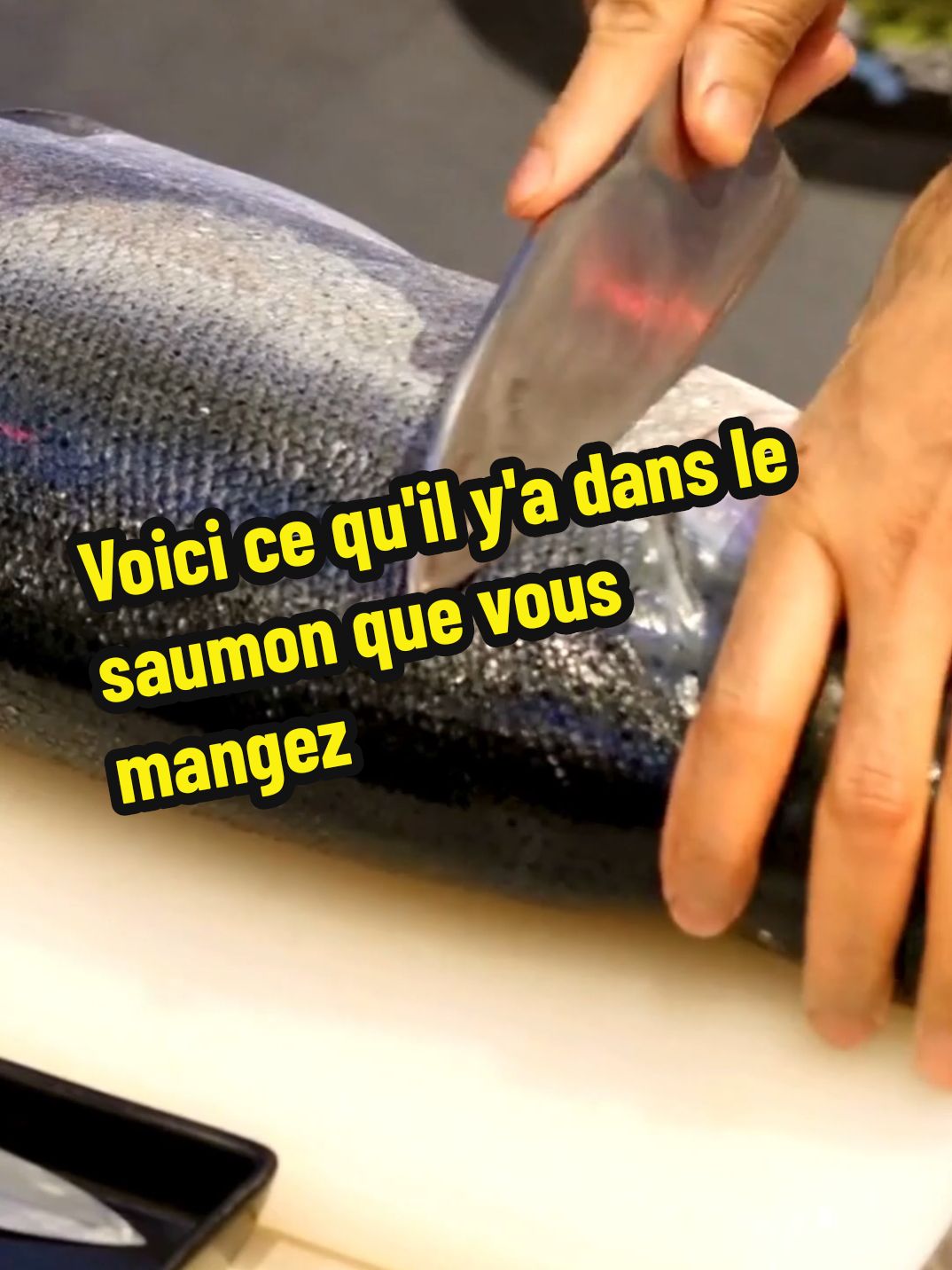 Voici ce qu'il y'a dans le saumon que vous mangez #conseilsanté #santé #alimentation #nutrition #poisson #saumon #ogm #adn 