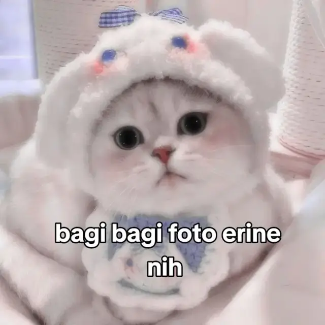yok yang oshinya erine buruan like masa kalian cuman ambil fotonya tapi gpp deh gk maksa kok#erinejkt48 #fyp #fyp #fyp #fyp #fyp #fyp #fyp #foryou #foryou #foryou #foryou #foryou #fyp #foryou #fyp #foryou #fyp #foryou #fyp #foryou #foryoupage #foryoupage #foryoupage 