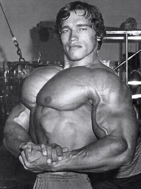 Arnold Prime 💪 @Arnold  #arnoldschwarzenneger #gym #GymTok #Fitness #motivation #fyp #fypシ゚ #bodybuilding #mrolympia #viral 