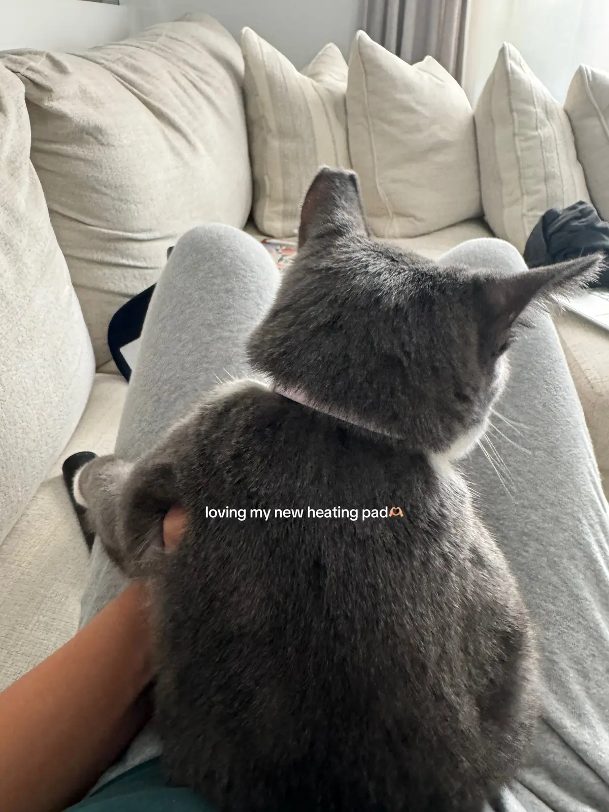 Sometimes I get free massages too🤭 #kneading #cat #underconsumption #pms #periodtips #cozy #relatable #fyp 