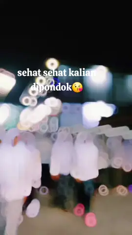 pondok pesantren al iman bulus purworejo✨️