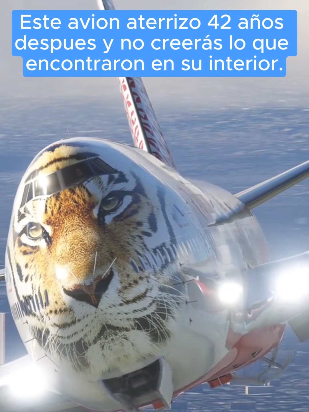 #avion #plane #avião #historias #historia #casos