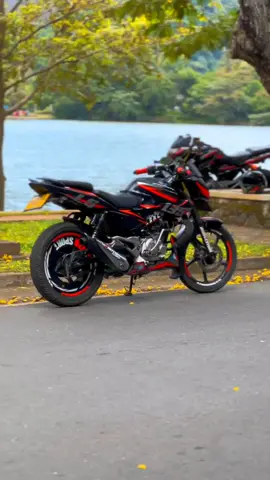 පුංචි පල්සරේ  🥰 #135ls🥵🔥🔥 #modification #bike #pulsar135 #bajaj 