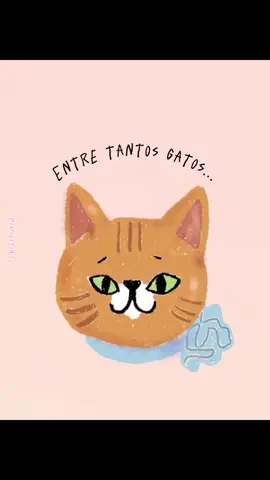 mi gatita preciosa 💖
