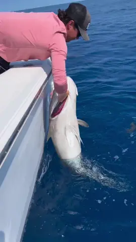 #onthisday #fy #fypシ #fypシ゚viral #fish #fishing 