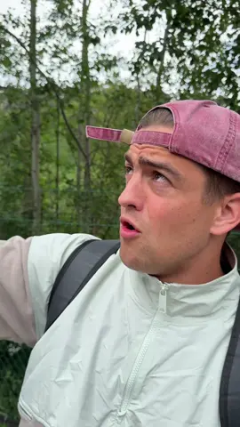 Turmspringen Duell gegen einen Profi. Wer war besser? #fregepaul #turmspringen #area47 #comedy #duell #klassenfahrt 