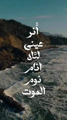 انر عينيا لئلا انام نوم الموت😔❤️‍🩹 #المزامير  #الانجيل  #الكنيسة  #ترانيم  #ترانيم_مسيحيه  #الكتاب_المقدس  #الكنيسة_الارثوذكسية  #عظات_ترانيم_مسيحية_تاملات_افلام_قديسين  #copticorthodox #orthodox #fyp #viral #foryoupage #viralvideo #viwes #foryou #trending 
