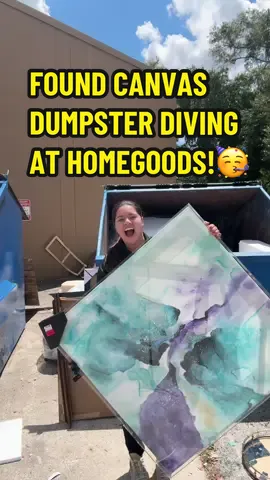 Went Dumpster diving at Homegoods and found this beautiful canvas!😊😊 their price was from $150-$300🫨 only the blue/purple was not broken‼️🥳 #Meldidumpsterdive #dumpsterdiver #dumpsterdive #dumpsterdivers #dumpsterdiving #homedecor #homegoods #homedecorideas #homedecortiktok 