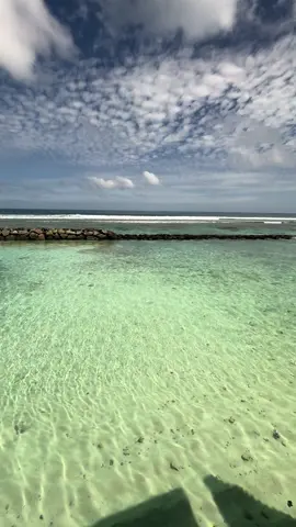 Heaven ⛅️🐬#ocean 