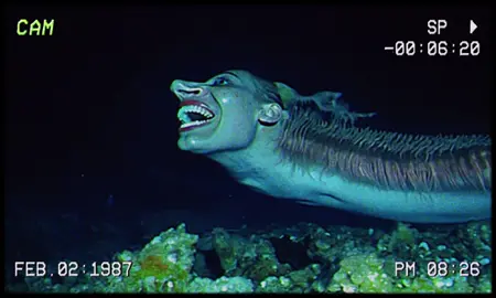 Tape 5: Siren's Call - Mermaid Found Footage (note: Recovered from the depths of a mysterious deep-sea shipwreck, 