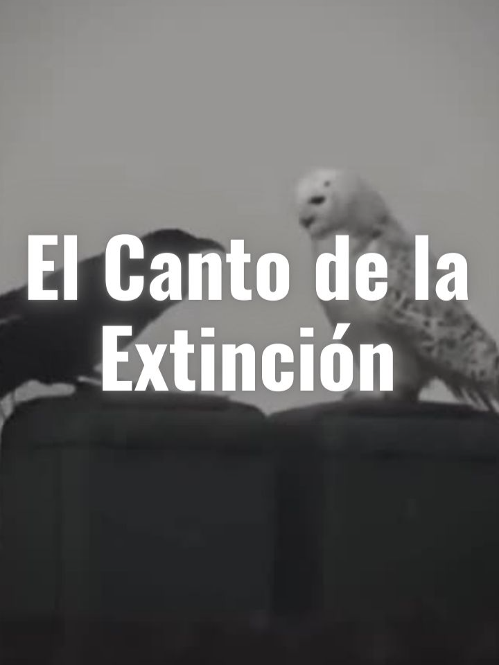 El Canto de la Extinción: El Kaua'i y Cancerbero #cantodelaextincion #cancerberoepico #cancerbero #musica #extincion