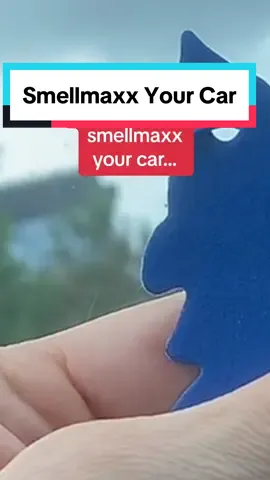 smell better #carsoftiktok #carairfreshener #featwell #cargadgets 