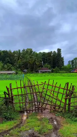 💧ഇനിയൊരിക്കലും ആ മഴ പെയ്യില്ല ... 💧പെയ്താലും അതെനിക്ക് വേണ്ടിയാവില്ല .... 💧ഞാനെന്ന മണ്ണിനെ സ്നേഹിച്ച ആ മഴ ..... 💧ഇപ്പോൾ മാന്ത്രികനായ കാറ്റിനെ സ്നേഹിക്കുന്നു  💧അദൃശ്യനും അനുഗ്രഹീതനുമായ  ആ കാറ്റിനെ അവൾ സ്വന്തമാക്കിയിരുന്നു !!! ശുഭദിനം🌹🌹🌹#morningvibes #പ്രണയംനിന്നോട്മാത്രം🕊️🕊️❤️❤️❤️ #haveaniceday #missyou #goodmorningvibes #kerala #malayalamsongs #entepranayathintajmahal 