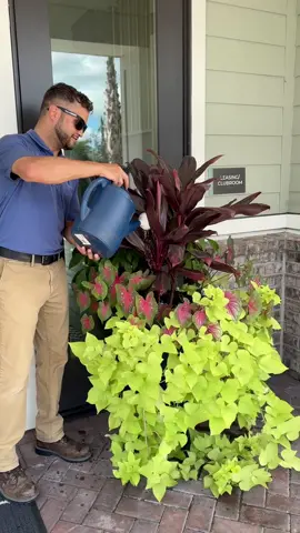 With the help from Andrew, these planters are always looking beautiful and thriving when you walk in our doors! #TheEmmettonMontague #apartments #plants #greenthumb #northcharleston