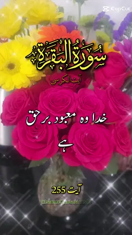 #quran 