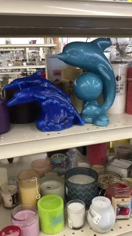 thrift finds