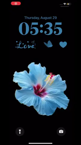 Customize a hibiscus flower wallpaper initials,u can download wallpaper #namewallpaper #letter #hibiscus #hibiscuswallpaper #flowerwallpaper #initials #diywallpaper #iphonewallpaper #fypシ゚viral #initialswallpaper 