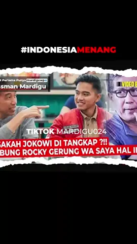 BISAKAH JOKOWI DI TANGKAP ?!! BUNG ROCKY GERUNG WA SAYA MEMBAHAS HAL INI ! #BOSSMAN #mardiguwowiekprasantyo