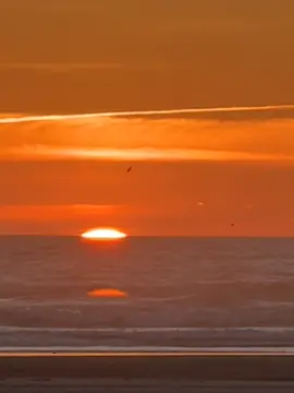 #oceanlife 