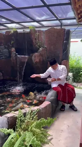 “Halooo Gaesss, Disela - sela kegiatan yang padat, menyempatkan diri memberi makan ikan KOI kesukaan...Rasa senang dan tenang melihat ikan KOI makan dengan lahap dan bersemangat...