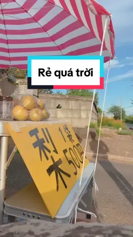 Mua lê trước ngày mưa bão #cuocsongnhatban #nhậtbản #hieuhonggio #cuocsongthuongngay 