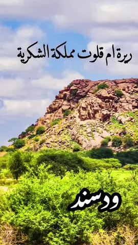 #CapCut  ريرة ام قلوت عمنا ودسند