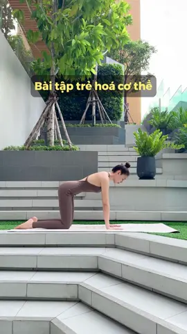 Bài tập trẻ hoá cơ thể ai cũng tập được☺️ #slina #slinayoga #yogainspiration 