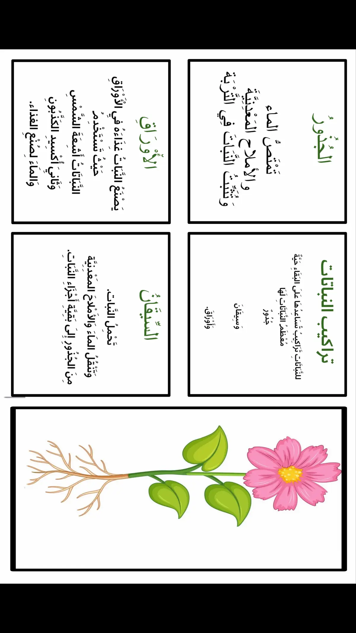 #مطويه #اكسبلورexplore #مطويات #ثالث_ابتدائي_علوم #علوم #العلوم 