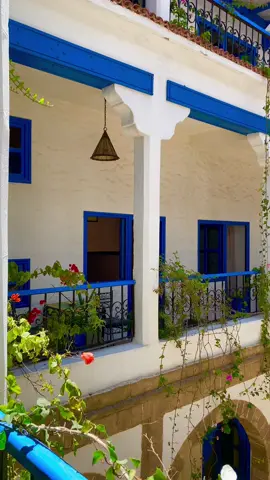 الصويرة 🇲🇦رياض المدينة.                                         #summervibes #essaouiravibes #Love #🥰🥰🥰 #2024 