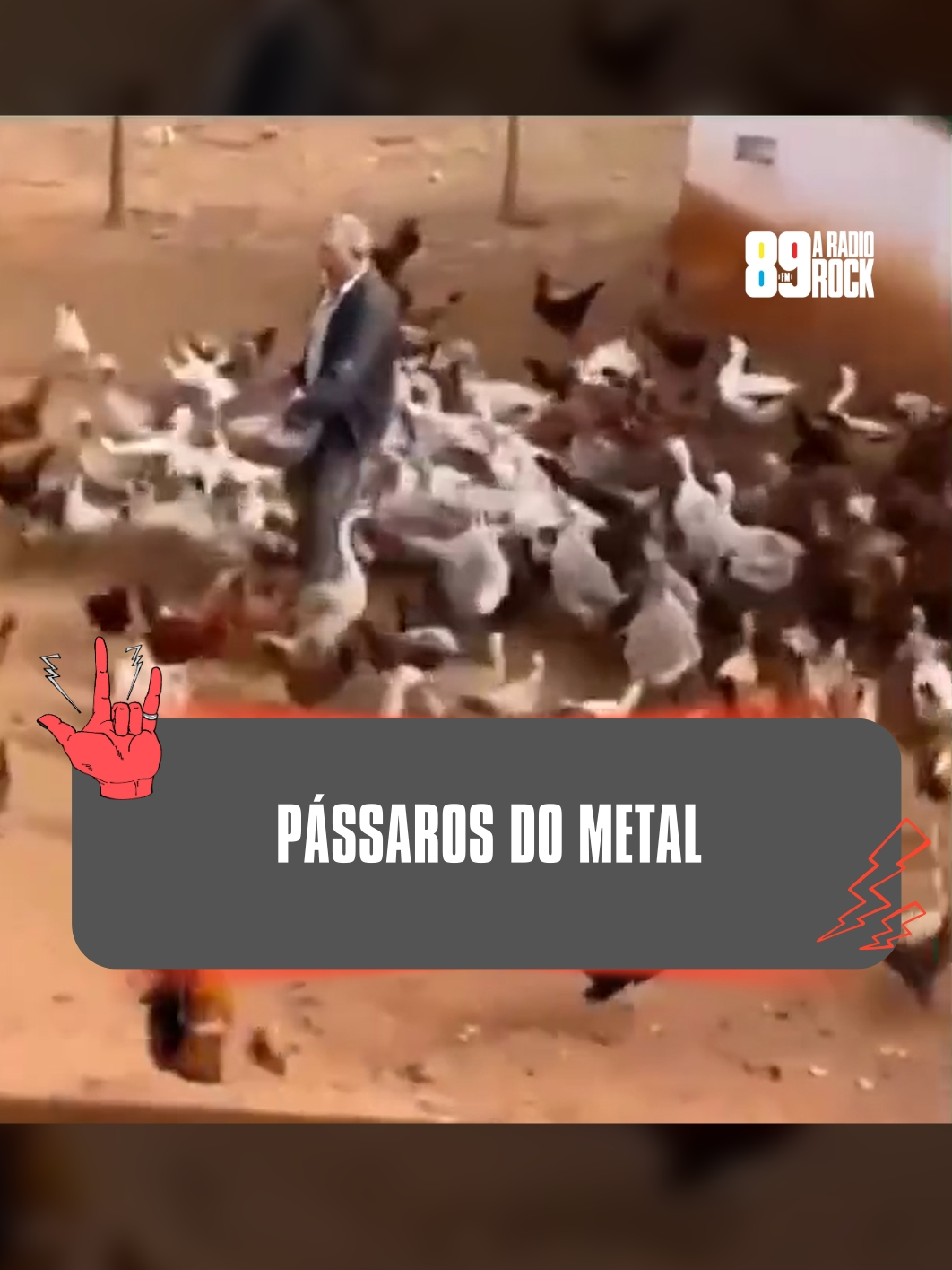 PÁSSAROS DO METAL Até eles gostam de organizar um mosh às vezes! Créditos: slayerband.daily (instagram) #89 #89fm #89aradiorock #89fmaradiorock #radiorock #aradiorock #rock #vivarock