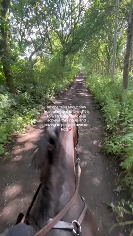 Telling myself we’ll be back to it before i know it🥲❤️‍🩹 #fypシ #trending #pov #equestrian #horsesoftiktok #eventing #countryside #Love #hearthorse #goals #dreams 